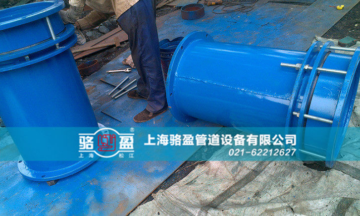 陜西省安康市紫陽縣雙法蘭限位伸縮器