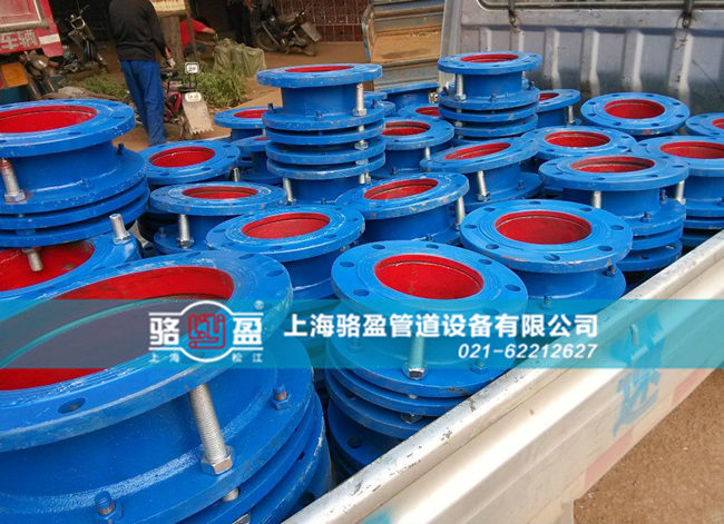 鑄鐵伸縮器出口現場圖